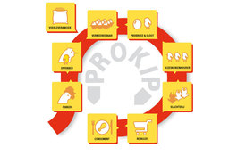 ProBroed-Infographic-Ketenmodel-rond.jpg ProBroed-Infographic-Ketenmodel-rond.jpg