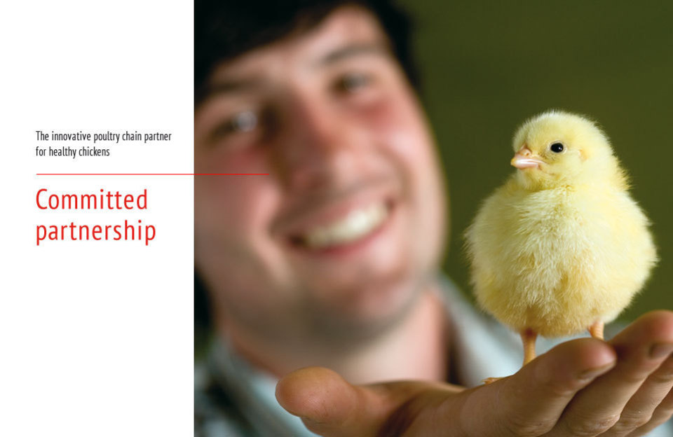 Betrokken-partnerschap__eng__banner